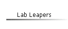 Lab Leapers